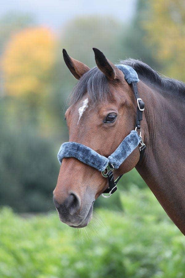 Shires Licol avec Mouton Synthetique - SHOPHORSE